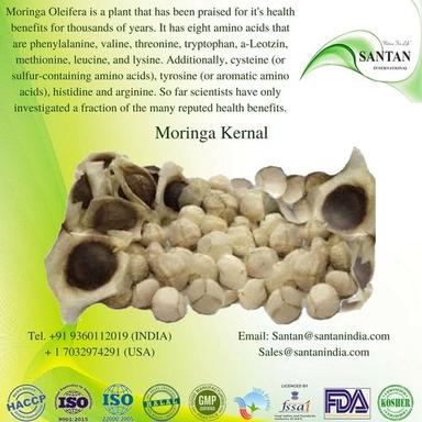 Moringa Seed Kernals For Oil Extraction Grade: Pharmaceutical And Food