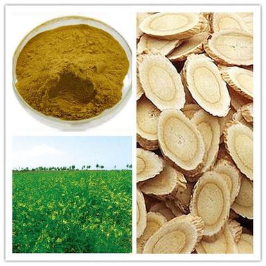 Natural Astragalus Extract, Astragaloside Iv, Cycloastragen