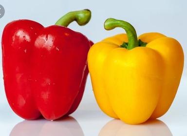 Fresh Red And Yellow Capsicum