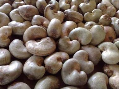 White 100% Raw Cashew Nuts