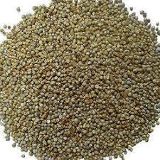 Green Millet (Bajra)
