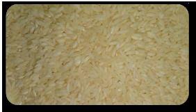 Non Basmati Rice Ir 64