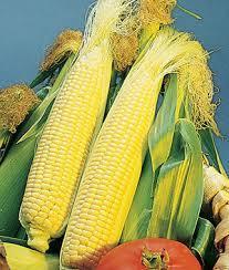 Sweet Corn