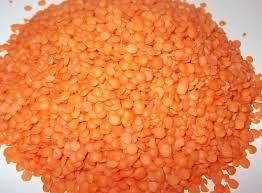 Masoor Dal