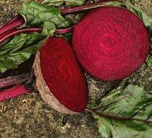 Fresh Beetroot