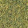 Green Millet