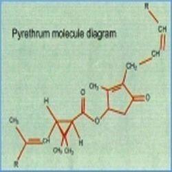 Pyrethrum Insecticide