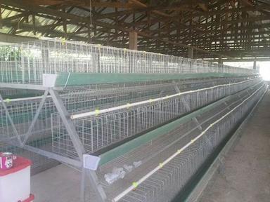 Metallic Poultry Battery Cages