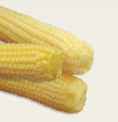 Baby Corn