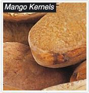 Mango Kernel