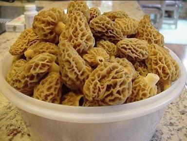 A/B/C Grade Morel Mushrooms