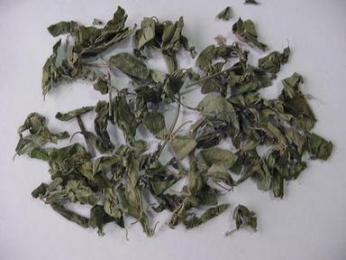 Gymnema Sylvestre Extract