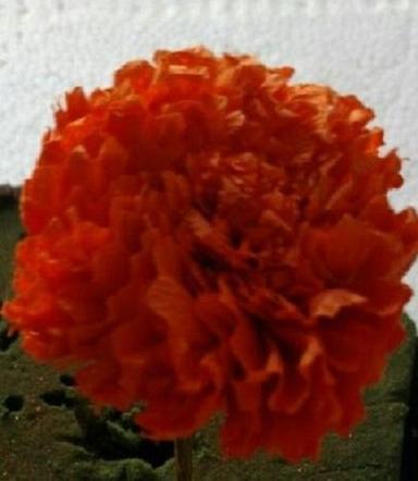 Light Weight Marigold Flower For Decoration 