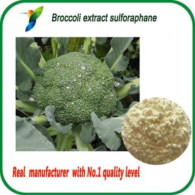 Natural Broccoli Seed Extract Sulforaphane 1% Age Group: For Children