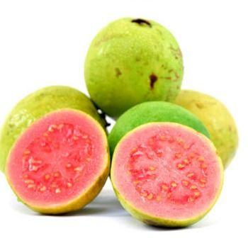Fresh and Hygienic Guava