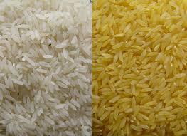 Non Basmati Rice