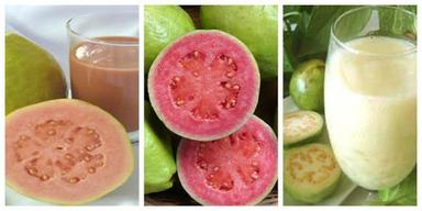 White Guava Puree & Concentrate