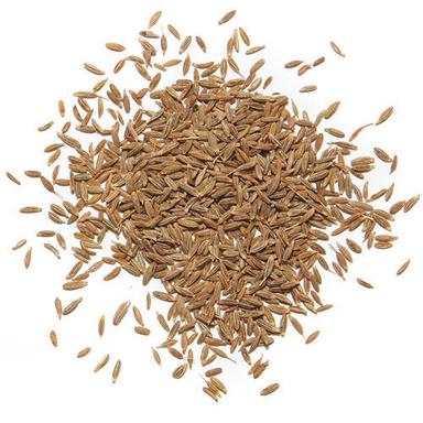 Precisely Processed Excellent Quality Cumin Seed