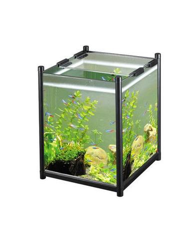 Fish Aquarium