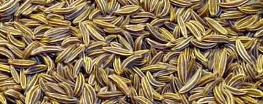 Pure Organic Cumin Seeds