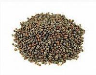 Quality Verified Black Mustard Seed