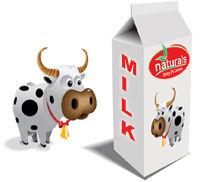 Premium Packaged Fresh Milk