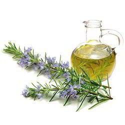 Excellent Quality Rosemary Oil