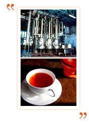 Instant Tea Production Plant