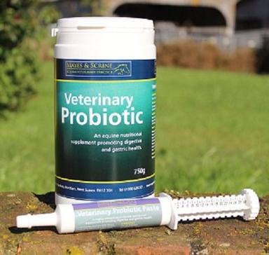 Top Quality Veterinary Probiotic Paste