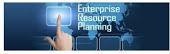 ERP Consulting Services