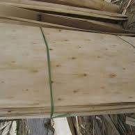 Top Eucalyptus Core Veneer Usage: Decoration
