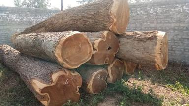 Premium Grade Rosewood Log