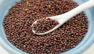 Black Mustard Seeds For Cooking