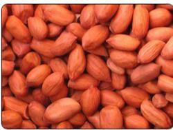 High Grade Dried Peanuts