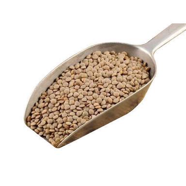 Fresh And Healthy Brown Lentils