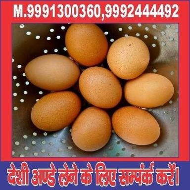 Gray Desi Eggs