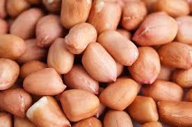 Common High Grade Raw Peanuts