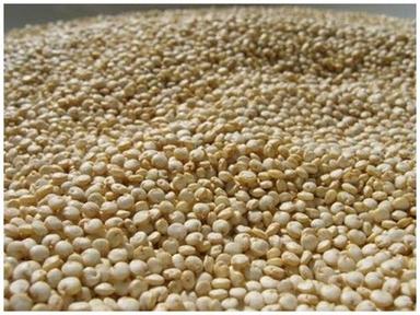 Purity Tested Quinoa Seeds