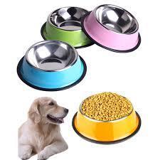 Dog Feeding Bowls
