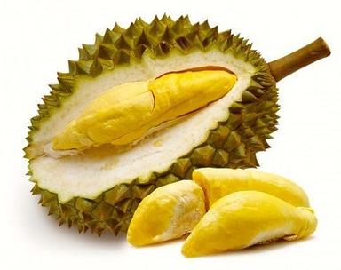 Common Healthy And Fresh Durian Fruit
