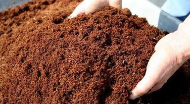 Eco-Friendly Affordable Coconut Coir Peat