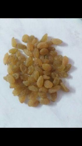 Golden Color Round Raisins