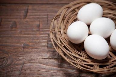  शुद्ध और ताजे सफेद शेल अंडे के लिए उपयुक्त: जलीय जानवर 
