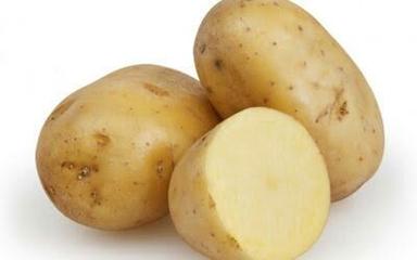 Fresh Medium Size Potatoes