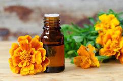 Deep Orange Tagetes Marigold Oil