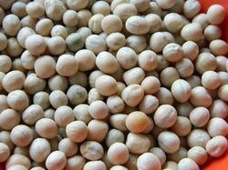High Nutritional White Peas