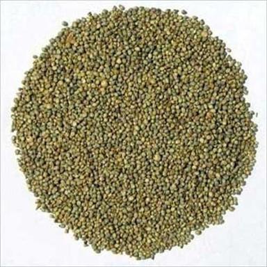 Organic Green Bajra Seeds
