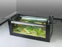 Low Price Fish Aquarium 