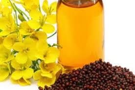 Oil Seed Mustard Oil