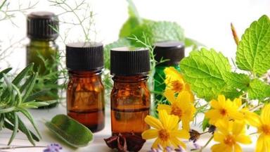 Top Great Quality Herbal Oil  Ingredients: Herbs